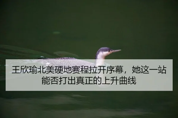 img_1783742056505_314_0_916.jpg（Tencent Sports）
